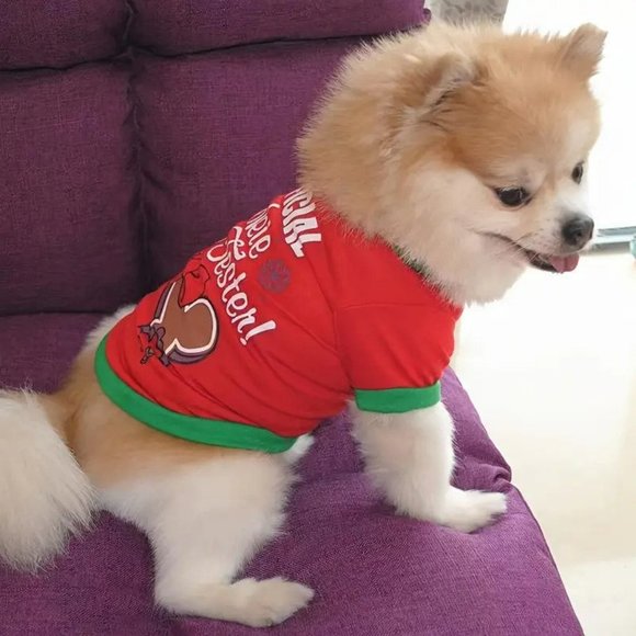 **HOST PICK** Dog Christmas Shirt Official Cookie Tester - Picture 4 of 5